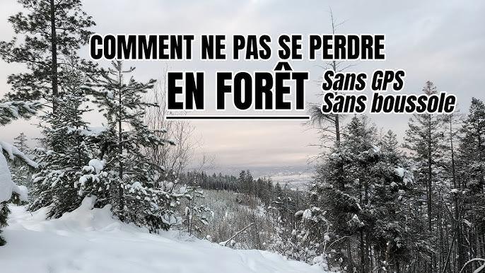 Read more about the article 5 astuces pour ne pas perdre son chemin en forêt