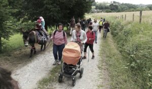 Lire la suite à propos de l’article Des activités en famille à découvrir dans la Creuse !